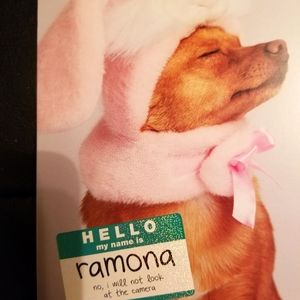 Quirks and Tails Notecard Set